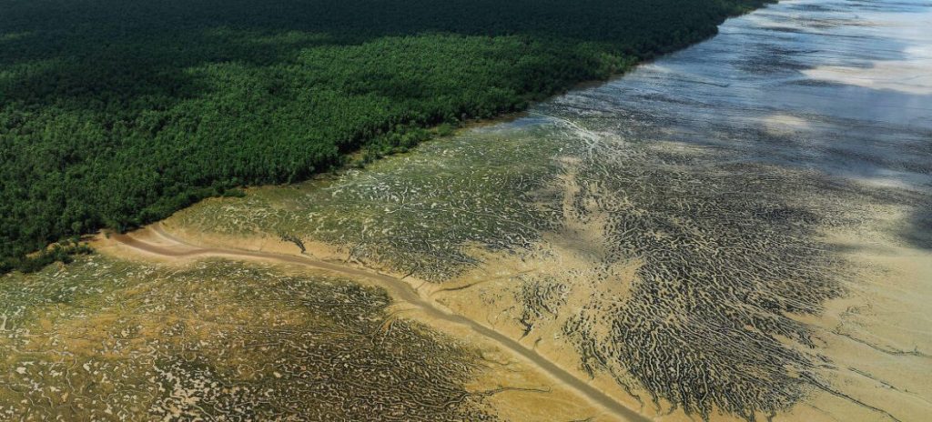 A novela da Margem Equatorial