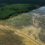 A novela da Margem Equatorial