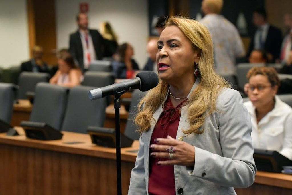 Alerj pode criar honraria para reconhecer mulheres na defesa da