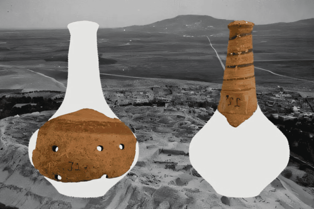 Arqueologia: descoberta na Síria ajuda a entender a vida há