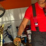 Bombeiros alertam para cuidados no contato com animais peçonhentos e
