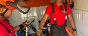 Bombeiros alertam para cuidados no contato com animais peçonhentos e