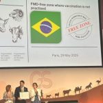 Brasil é certificado internacionalmente como zona livre de aftosa sem