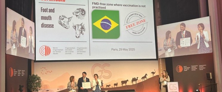 Brasil é certificado internacionalmente como zona livre de aftosa sem