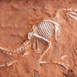Como fósseis de dinossauros podem ajudar no combate ao câncer
