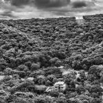 Conheça o projeto de Sebastião Salgado que ‘ressuscitou’ uma floresta