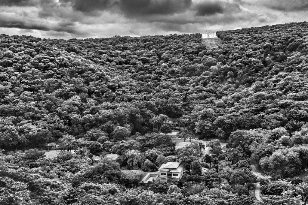 Conheça o projeto de Sebastião Salgado que ‘ressuscitou’ uma floresta