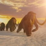 DNA revela segredos sobre a evolução dos mamutes