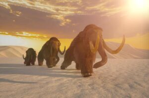 DNA revela segredos sobre a evolução dos mamutes