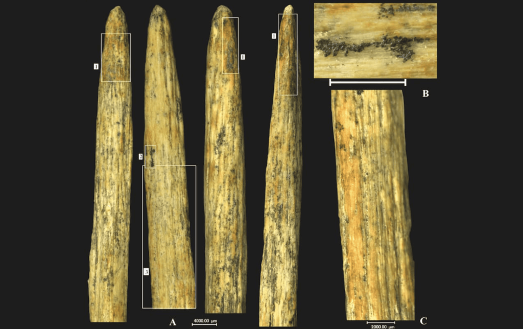 Descoberta mostra que os Neandertais tinham ‘tecnologias’ avançadas para a