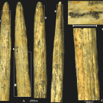Descoberta mostra que os Neandertais tinham ‘tecnologias’ avançadas para a