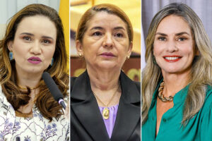 Desigualdade de gênero: apenas 3 Assembleias Legislativas são presididas por