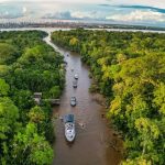 Edital vai premiar projetos sustentáveis na Amazônia com até R$