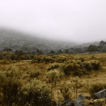 Em clima de frio, conheça 8 cidades do país que