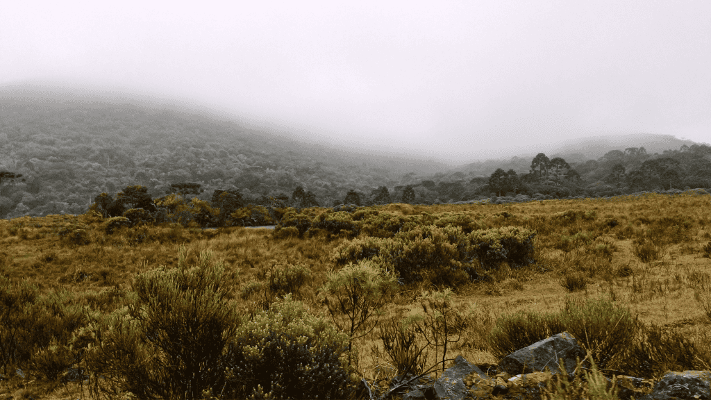 Em clima de frio, conheça 8 cidades do país que