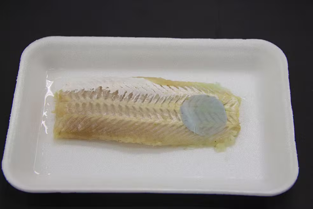 Embalagem inteligente muda de cor para avisar quando peixe está