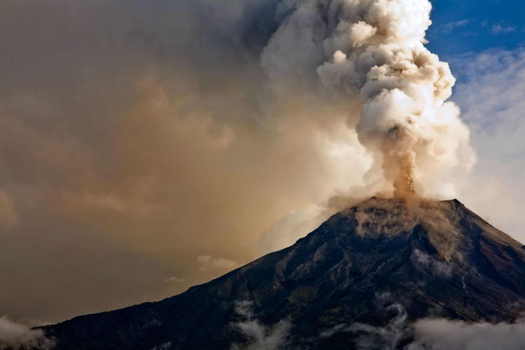 Estamos vivendo a sexta extinção em massa? Cientistas alertam para