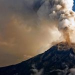 Estamos vivendo a sexta extinção em massa? Cientistas alertam para