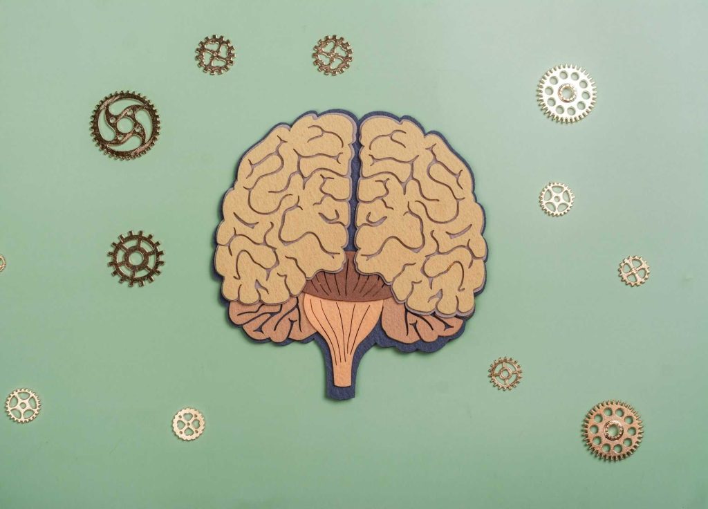 Estudo brasileiro descobre molécula que reverte declínio cognitivo