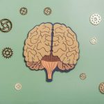 Estudo brasileiro descobre molécula que reverte declínio cognitivo