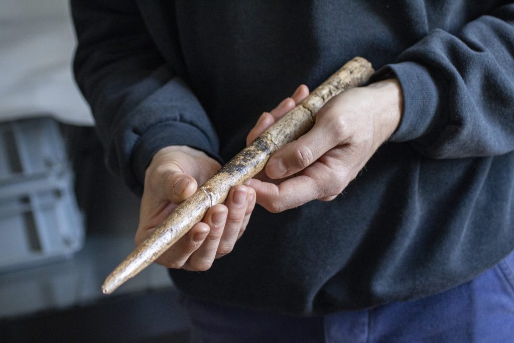 Estudo revela armas de 20 mil anos feitas com ossos