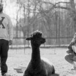Festival Mucho Flow em Guimarães anuncia primeiros nomes para o