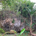 Geólogos descobrem enorme pedregulho carregado por tsunami há sete mil