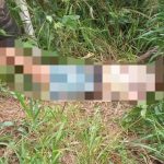 Homem é morto com 18 tiros e polícia investiga motivação