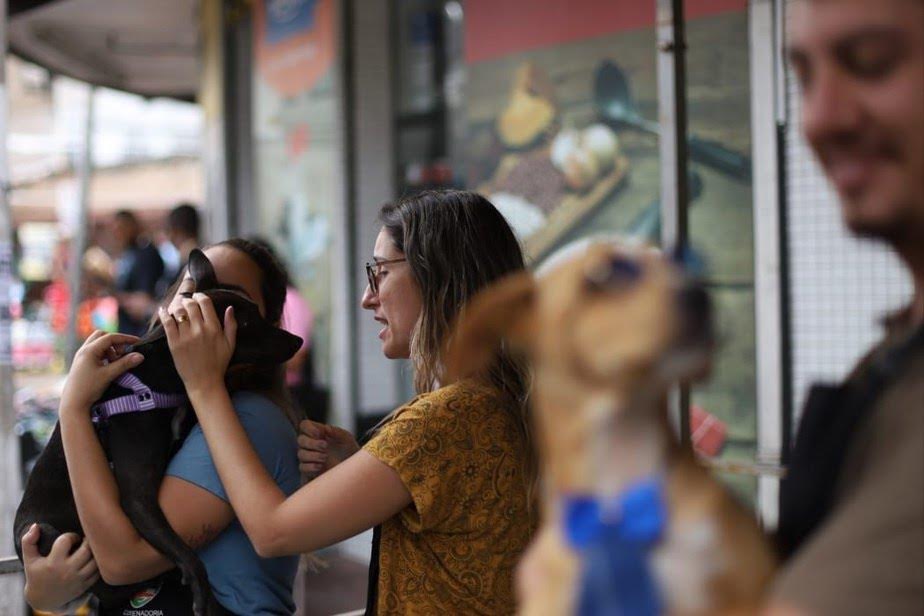Indicação na Alerj propõe licença para servidor acompanhar animal de