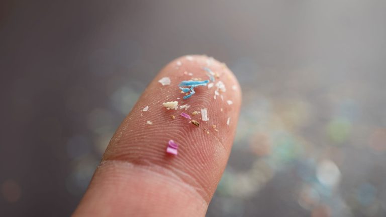Microplásticos: os vilões podem virar mocinhos em uma nova pesquisa