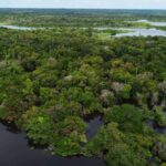 Novo satélite pode revelar segredos da Amazônia
