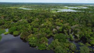Novo satélite pode revelar segredos da Amazônia