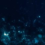 Nunca registramos tantas espécies diferentes no oceano profundo como agora