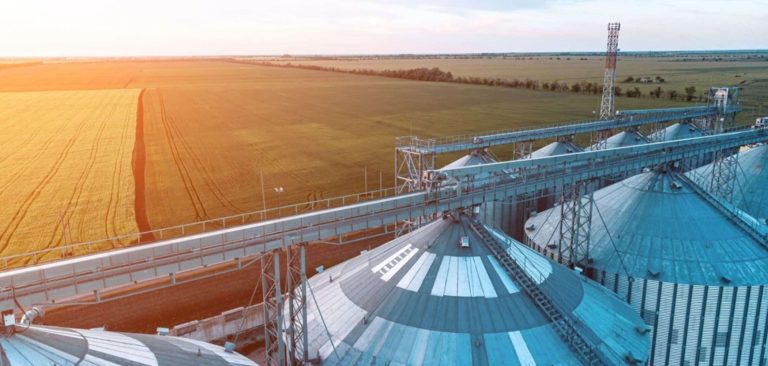 O Agro está produzindo mais. O mundo, comendo menos