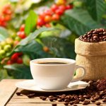 O que cafés com impurezas e micotoxinas causam à saúde?