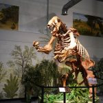 O que realmente aconteceu com as preguiças-gigantes?