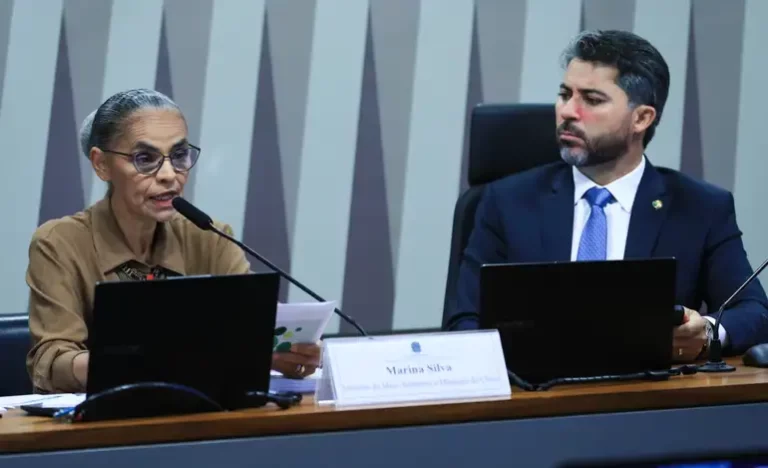 Oposição na Alerj manifesta apoio à ministra Marina Silva após