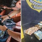 PRF apreende 240 tabletes de cocaína dentro de veículo, na