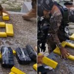 Polícia apreende mais de 30kg de drogas dentro de veículo