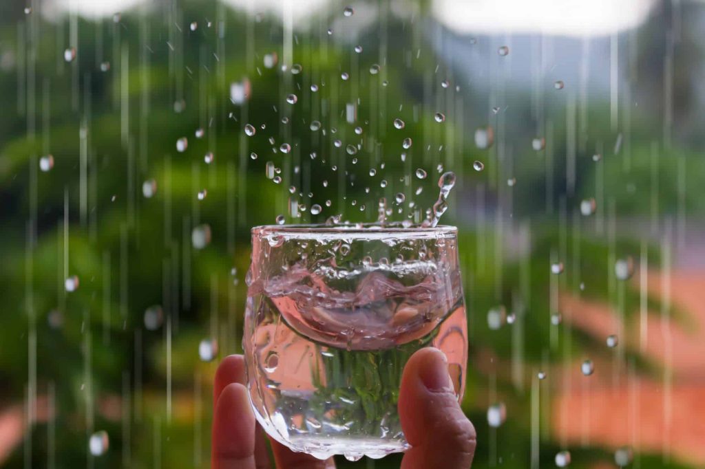 Por que é perigoso beber água da chuva?