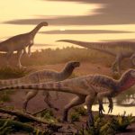 Predador do passado: nova espécie de velociraptor descoberta