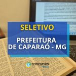 Prefeitura de Caparaó - MG abre edital de processo seletivo