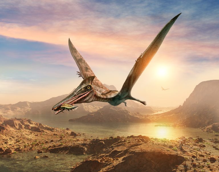 Pterossauros: os gigantes que dominaram os céus do Brasil há