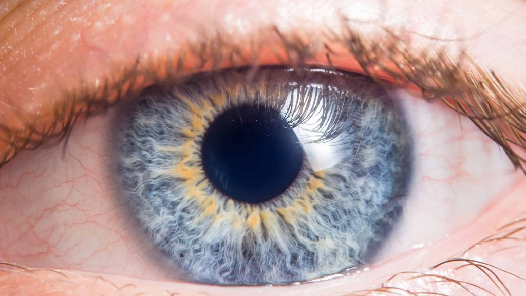 Quantos megapixels tem o olho humano? Entenda qual é a