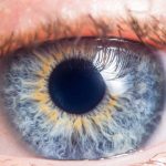Quantos megapixels tem o olho humano? Entenda qual é a