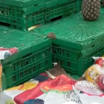 Rato é filmado passeando por produtos do Supermercado Mateus no