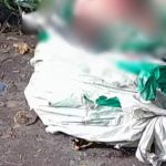 Recém-nascido é encontrado em estado de decomposição dentro de sacos