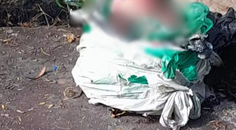 Recém-nascido é encontrado em estado de decomposição dentro de sacos