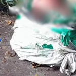 Recém-nascido é encontrado morto dentro de sacos de lixo na