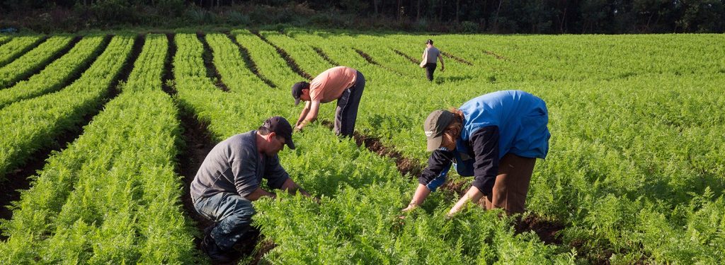 SAF participa de ações para promover agricultura familiar na AgroBarra